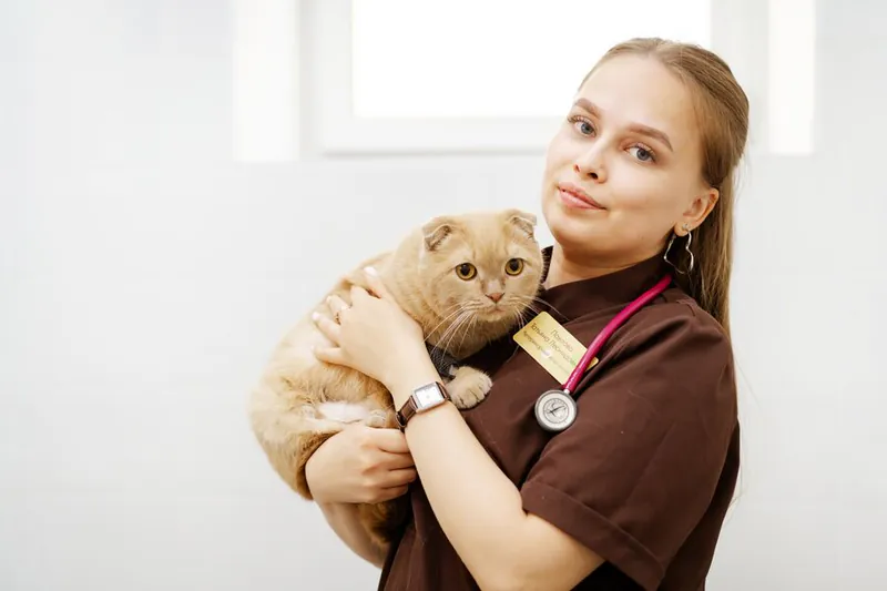 Врач с пушистой кошкой